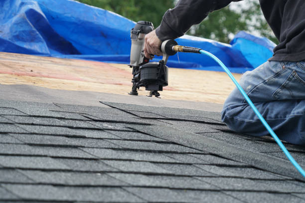 Best Flat Roof Repair Services  in Homestead, PA