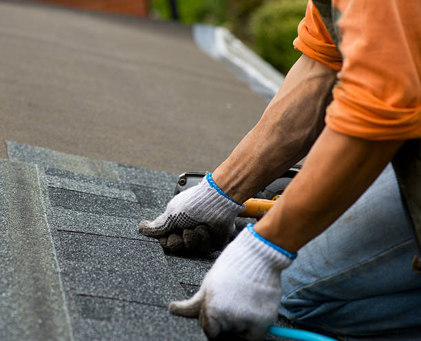 Best Emergency Roof Repair  in Homestead, PA